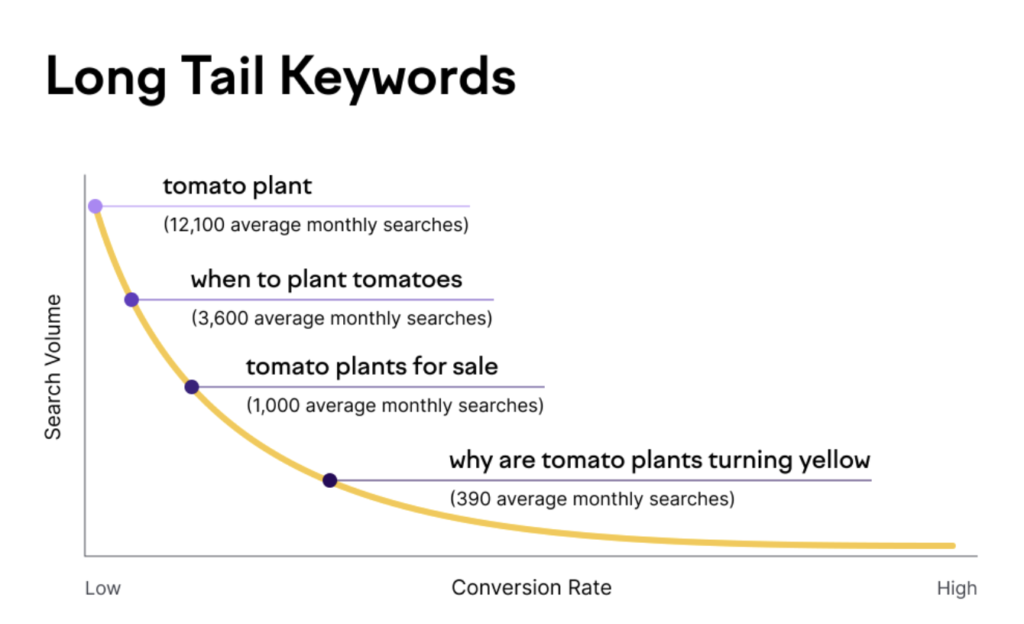 Long-Tail Keywords